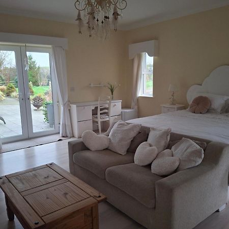 مبيت وإفطار Stabannan Deeside Manor المظهر الخارجي الصورة